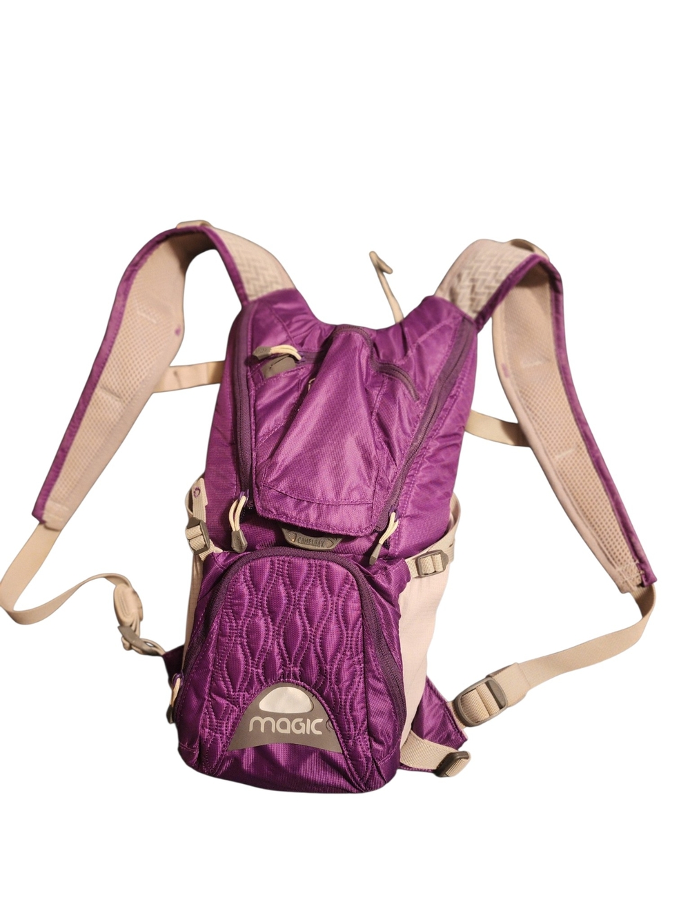 Camelbak Purple and Beige Daypack